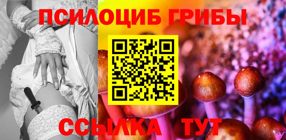 Псилоцибиновые грибы Psilocybine cubensis Нягань