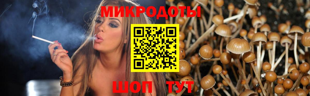 Нягань  Псилоцибиновые грибы MAGIC MUSHROOMS  Вход с VPN  Псилоцибиновые грибы Magic Shrooms 